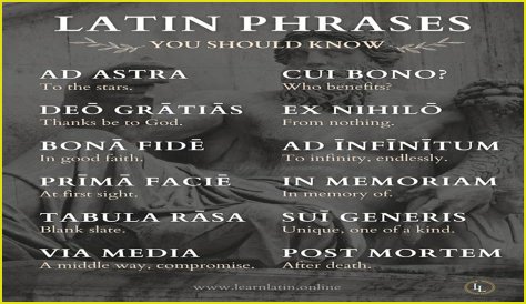 A Profile Of A Latin Beauty